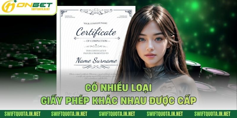 Có nhiều loại giấy phép khác nhau được cấp 